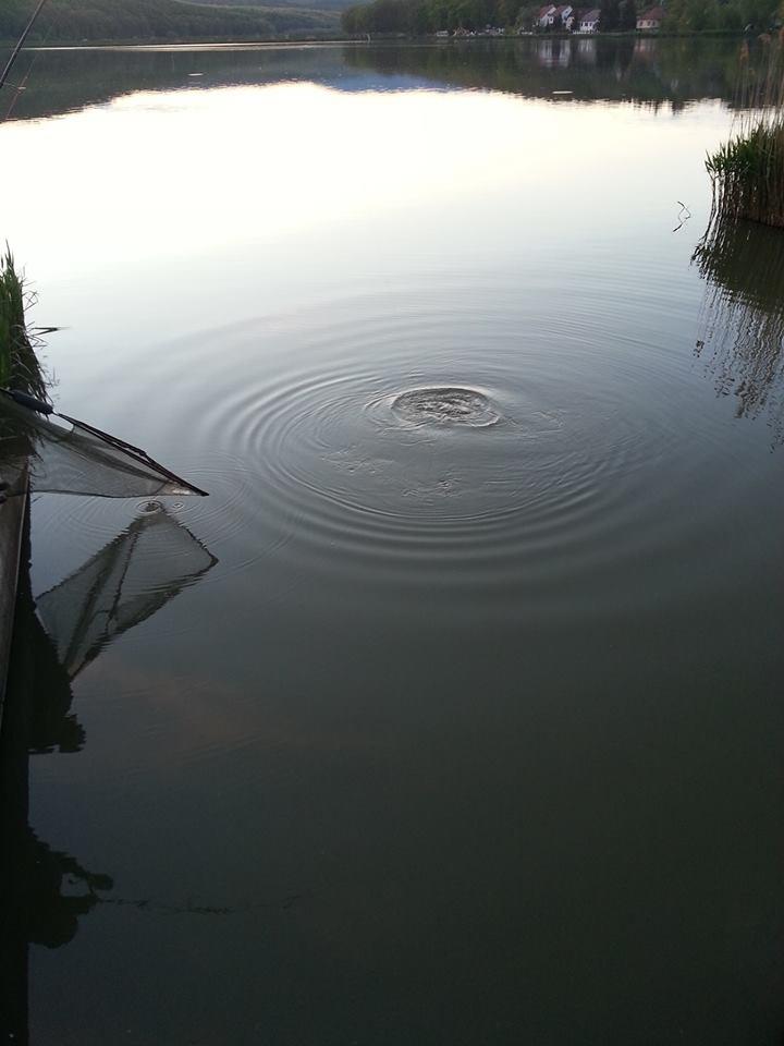 Harsany 20-23 aprilie 2014 - 5.jpg